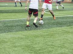 陕北小县城,绿茵梦工厂,足球如何改,美高梅(MGM)最新官方网站,美高梅,(1888-MGM认证),美高梅mgm1888,美高梅mgm最新登录入口